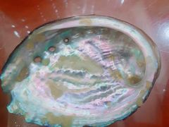 鲍鱼壳-小食堂(平陵中路店)