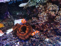 -沈阳海洋探索中心