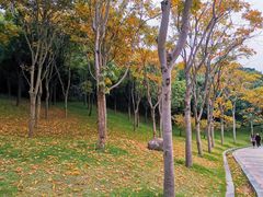 -牛岗山公园