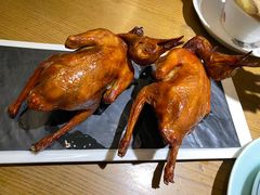 -大鸽饭(岗顶店)