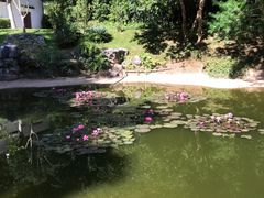 -深圳国际园林花卉博览园