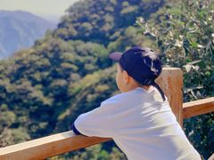 -大岭沟猕猴桃谷风景区