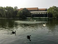 -钓鱼台国宾馆