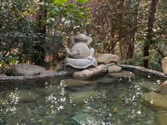 -天目湖涵田半山温泉