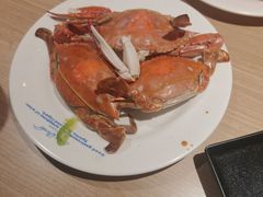 -星伦多自助料理(爱琴海店)