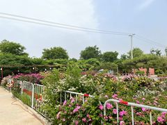 -龙口动植物园