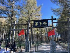 -塞罕坝国家级自然保护区