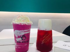 -飞行喵MR PILOT|猫舍·猫咖(静安大融城店)