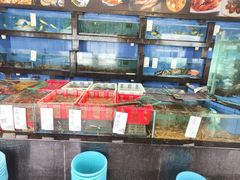 水产区-新河畔海鲜酒楼(虎门店)