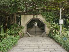 -广西壮族自治区药用植物园