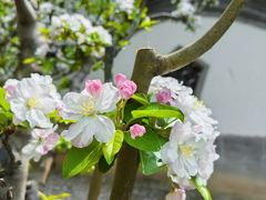 -朝阳公园游乐园