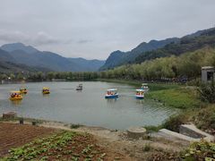 -后柳水乡
