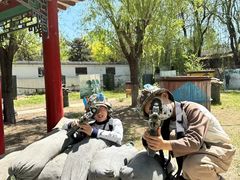 -北戴河集发农业梦想王国