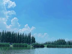 -呈贡滇池生态湿地公园