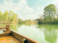 -西溪国家湿地公园