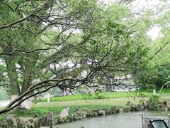 -江心屿景区