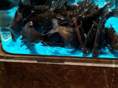 -艳阳天·非遗楚菜(武汉客厅店)