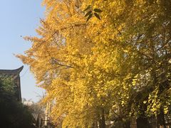 -星巴克臻选(成都宽窄巷子店)