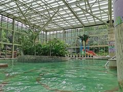 -融汇温泉