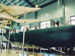 -上海海洋大学(临港校区)