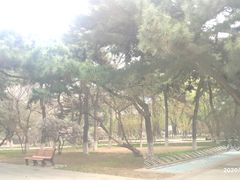 -东北大学(南湖校区)