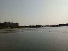 -映月湖中央公园