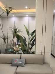 -沈阳名流美容医院