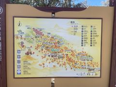 -金塔沙漠胡杨林景区