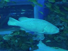 -成都浩海立方海洋公园