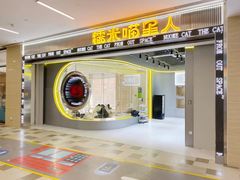 -糯米喵星人总部直营旗舰店·猫舍·幼猫出售