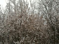 -白鹭湾湿地公园