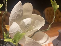 -见康道莱•足浴按摩•艾灸•SPA(友谊店)
