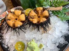 海胆刺身-日进一片海.生腌海鲜火锅.宵夜烧烤(三里屯总店)