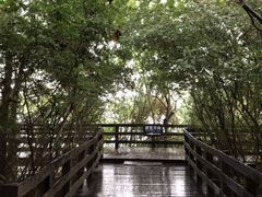 -溱湖国家湿地公园