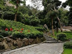 -景山公园