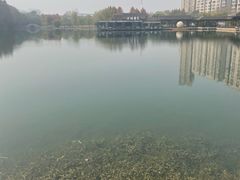 -洋湖国家湿地公园