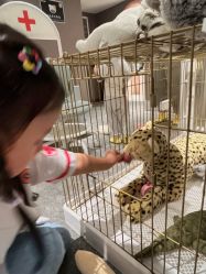 -奈尔宝·儿童乐园·亲子餐厅(华采天地店)