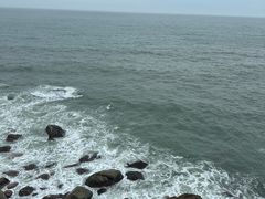 -广东惠东海龟国家级自然保护区