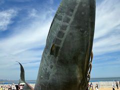 -烟台金沙滩海滨公园