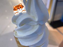 -春丽小马(济南恒隆广场店)