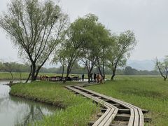 -西溪国家湿地公园