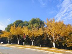 -南京科技馆
