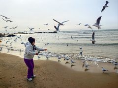 -老虎石海上公园