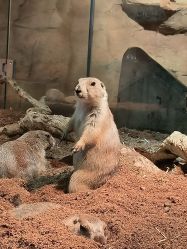 -Zoolung Zoolung动物主题公园(海信广场店)