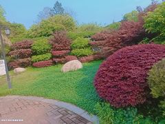-故乡缘·香格里拉山庄(冷竹路店)