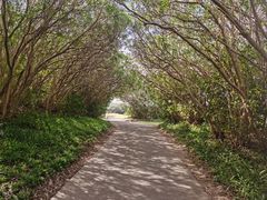 -滨海高尔夫俱乐部