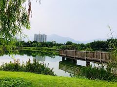 -飞来湖湿地公园