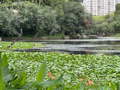 -荔枝公园(福田区)