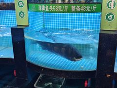 -千岛湖小鱼儿·淳安匠心农家菜