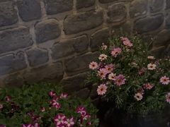 -瓦库茶馆17号(海汇港店)